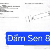 BÁN ĐẤT ĐƯỜNG ĐẦM SEN 8 – GẦN NGUYỄN PHƯỚC LAN